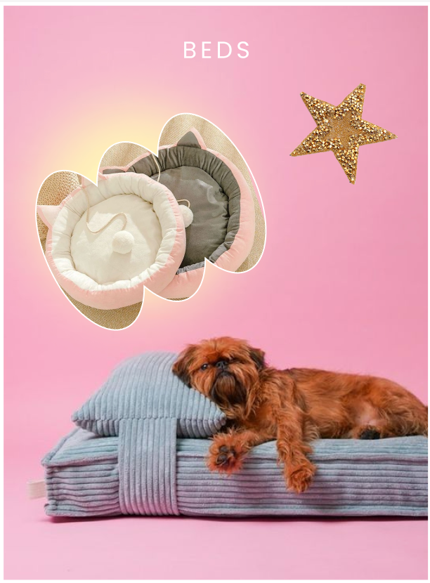 Dog Bedding