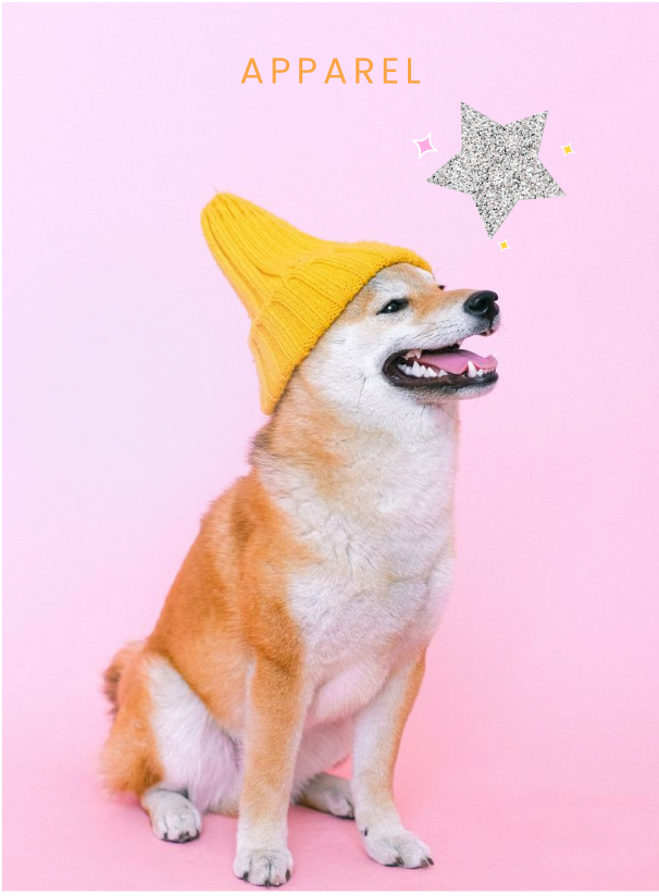 Dog Clothing
