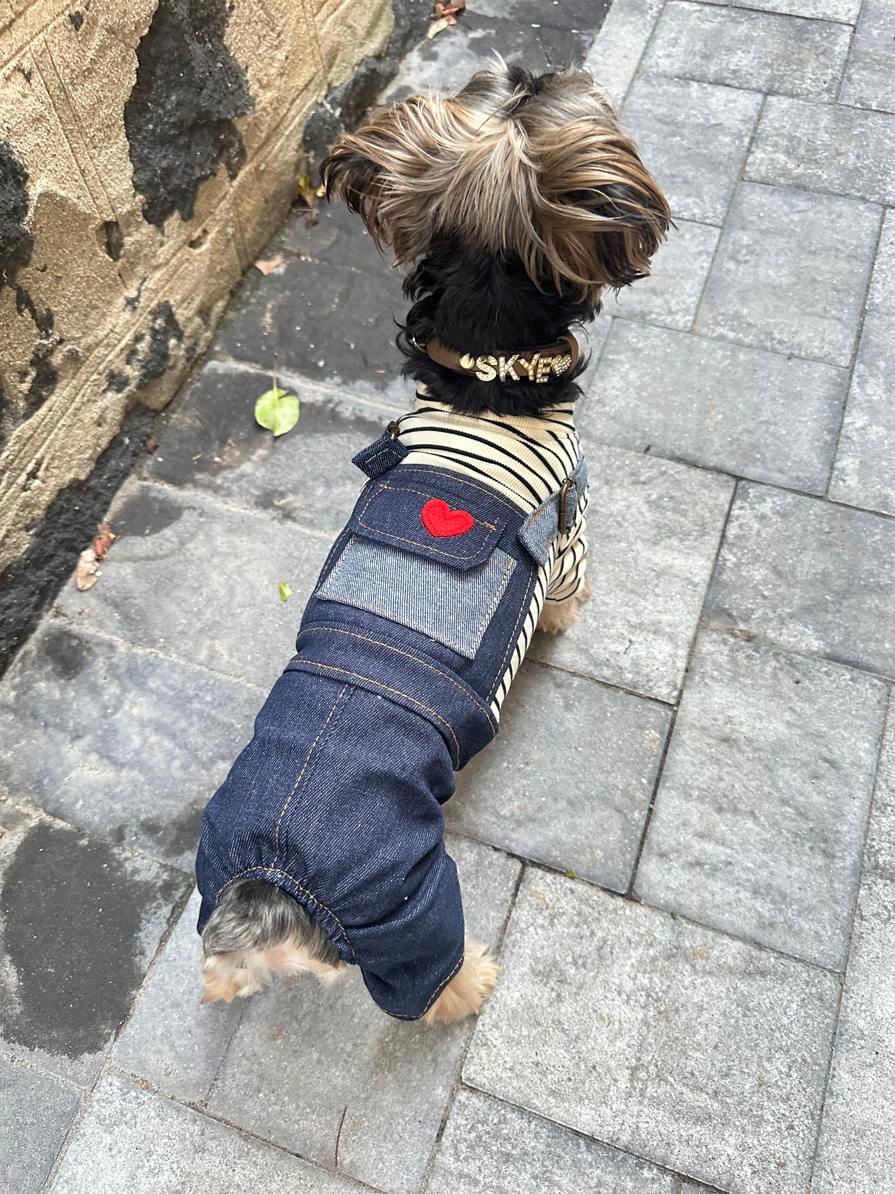 Love Pullover & Denim Overall