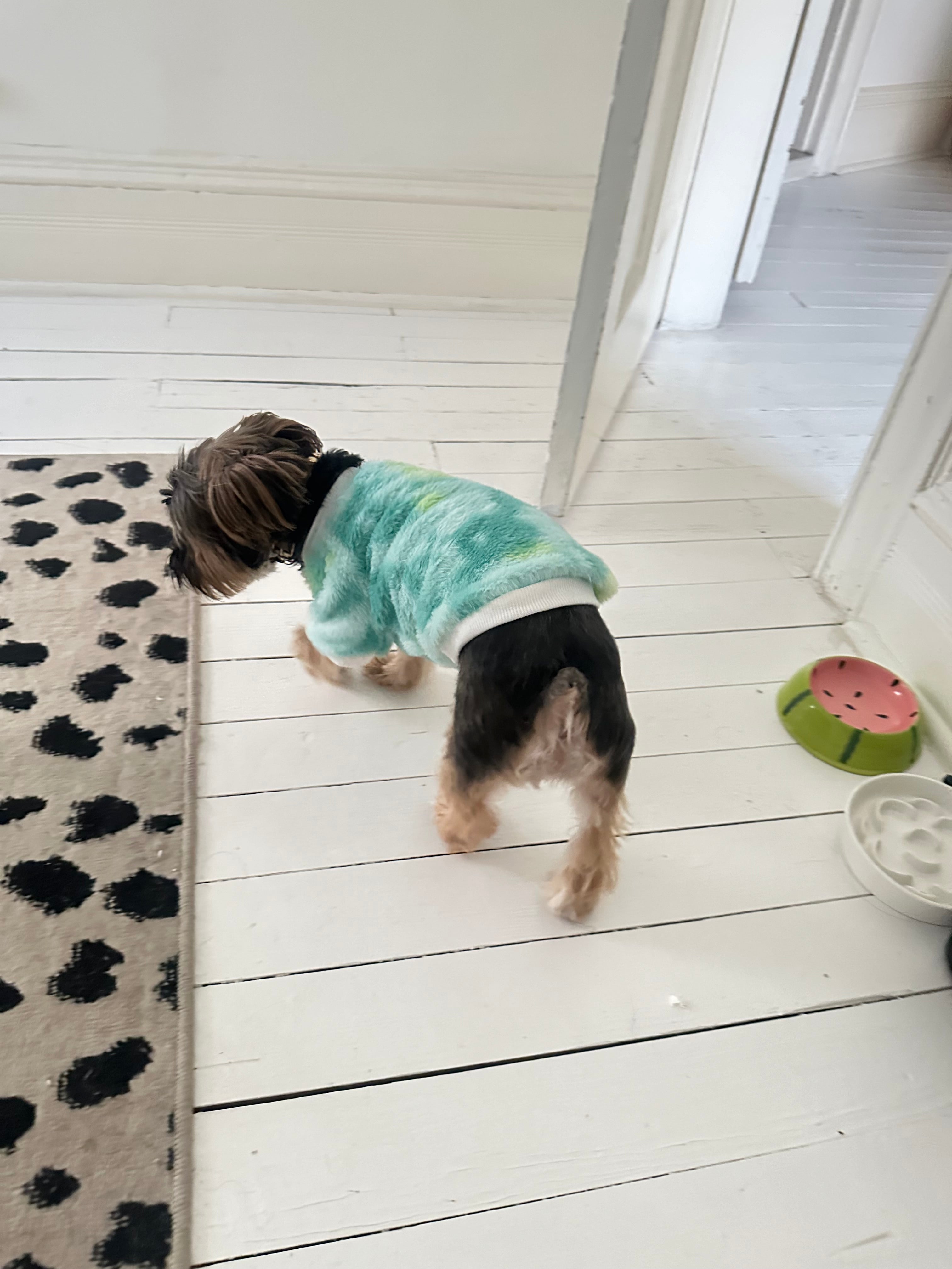 The Cotton Candy Cloud Sweater