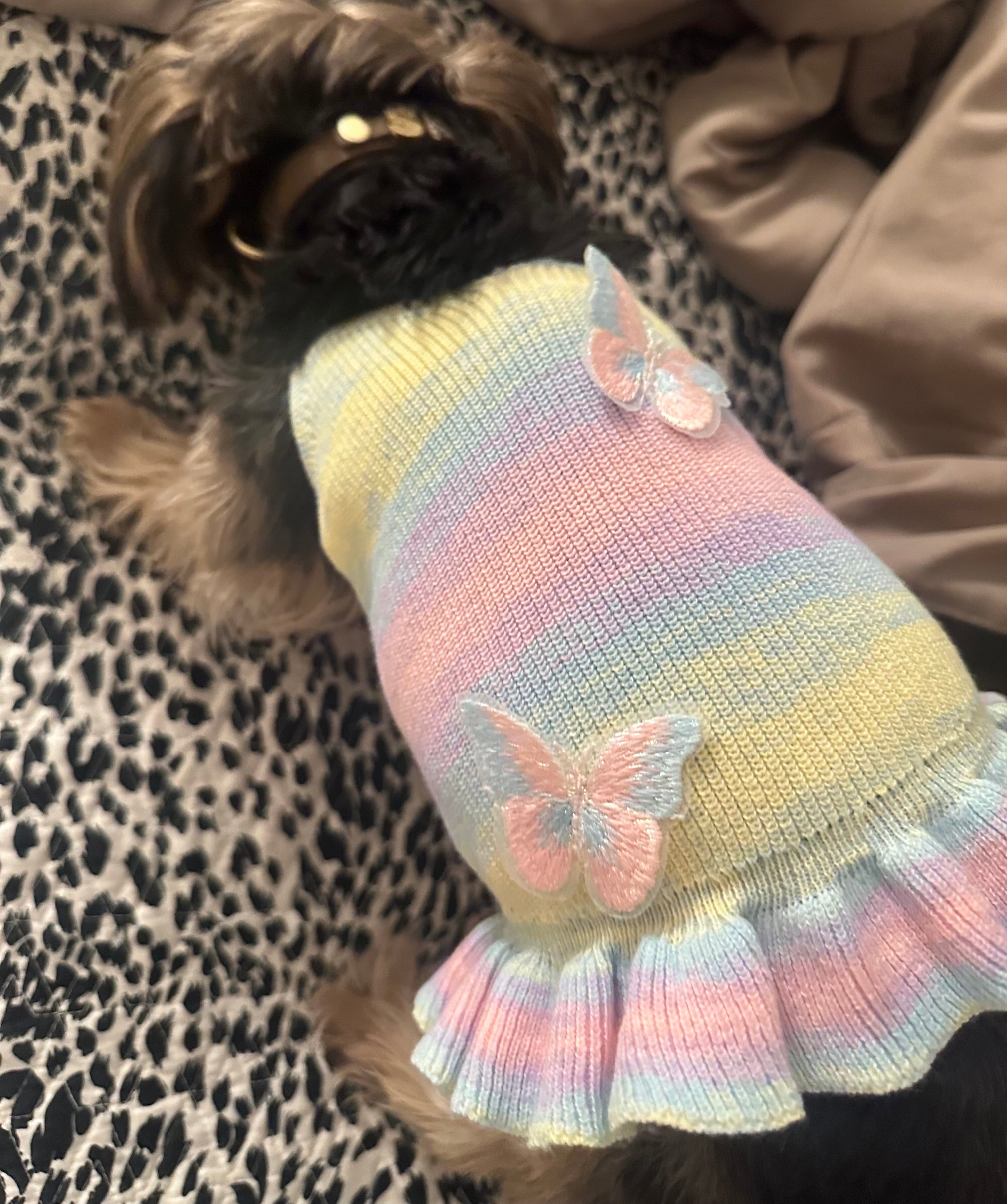 Gradient Butterfly Knit Dog Dress