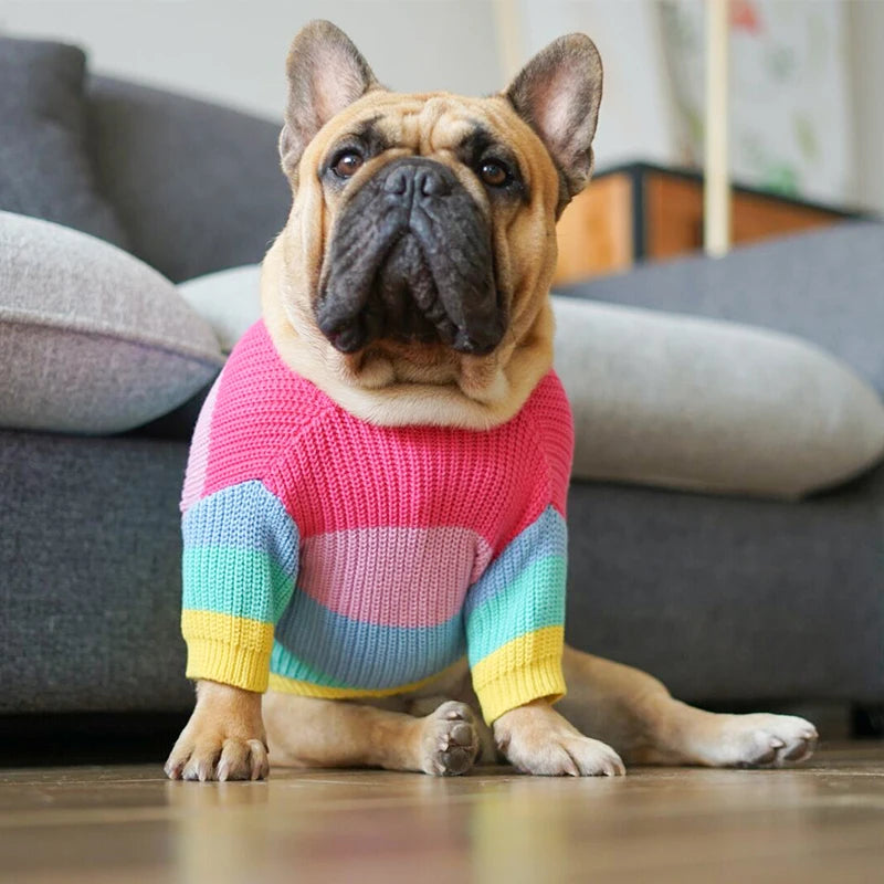Chasing Rainbows Sweater
