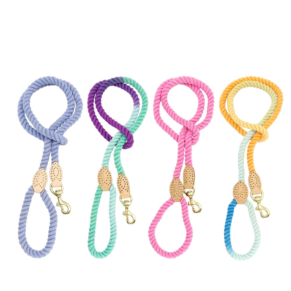 Color Pop Rope Leash
