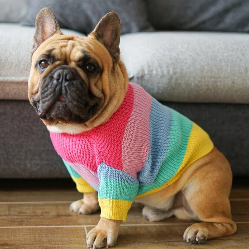 Chasing Rainbows Sweater