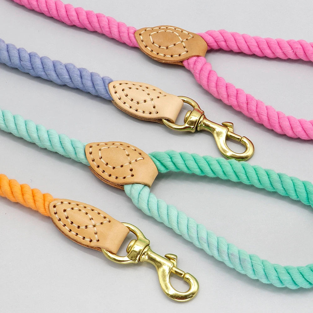 Color Pop Rope Leash