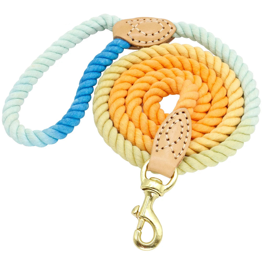 Color Pop Rope Leash