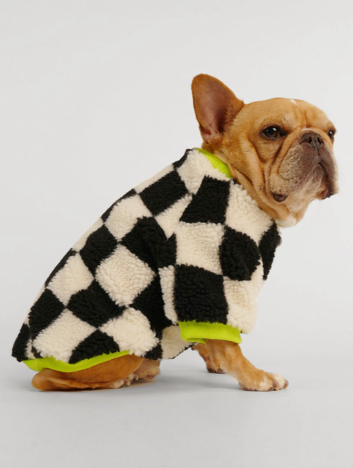 The Neon Check Snuggle Sweater