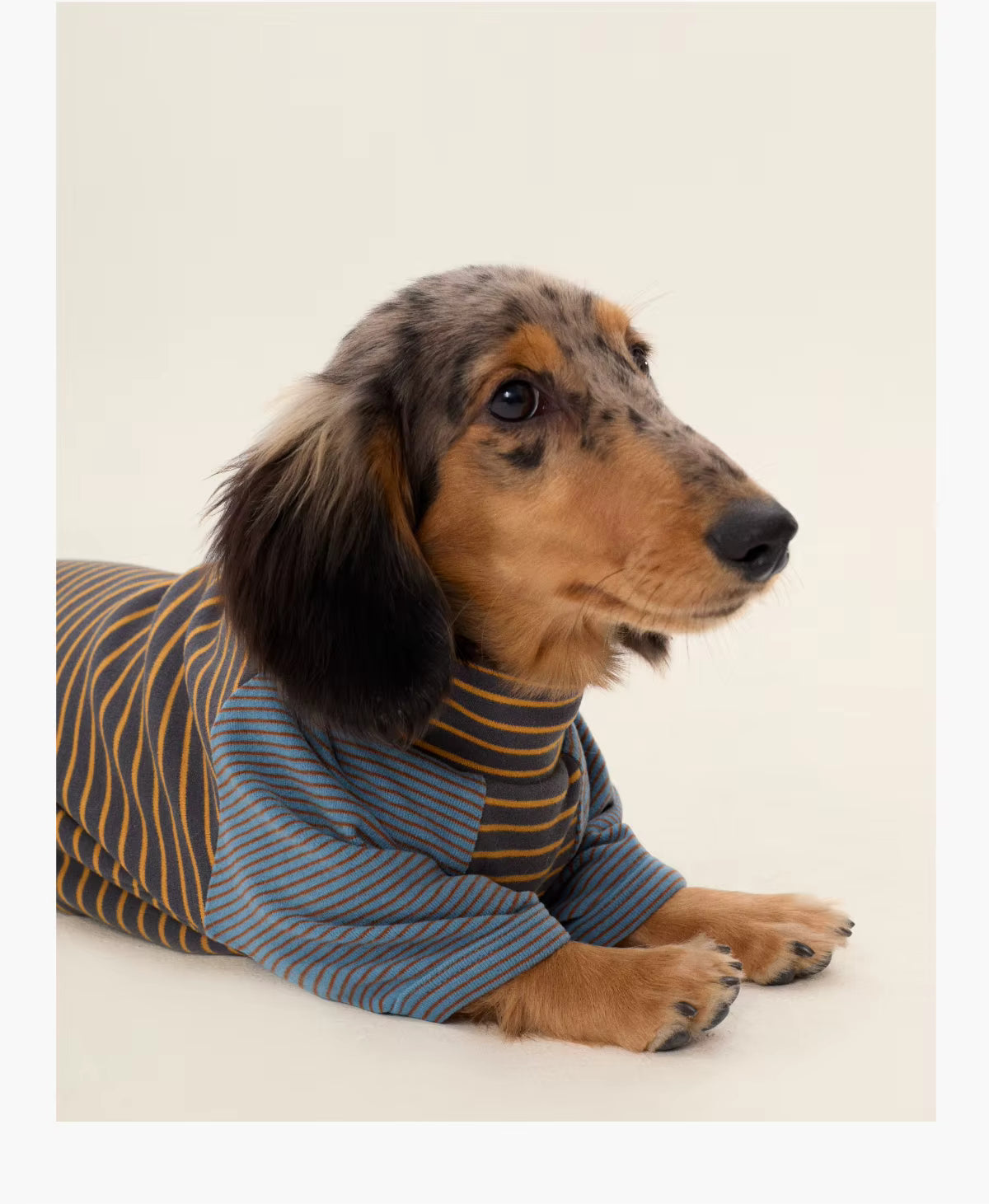 The Little Wanderer Stripe  Tee