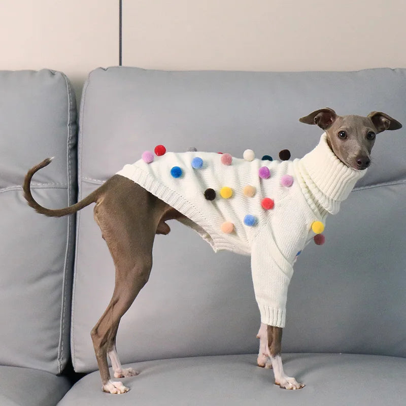 Pom Pom Parade Sweater