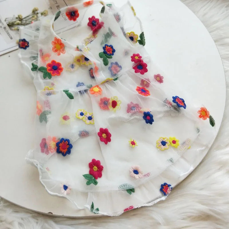 Floral Sheer Embroidered Dress
