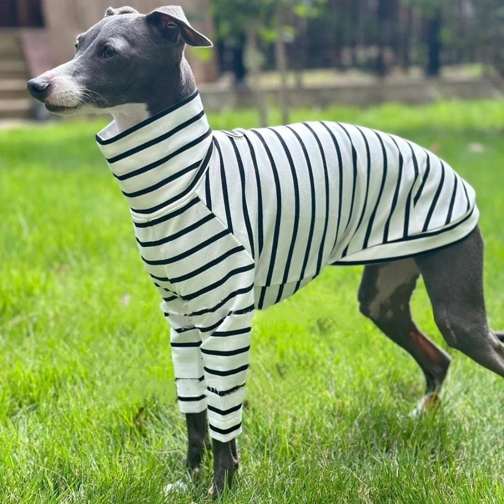 The Mono Stripe Turtleneck