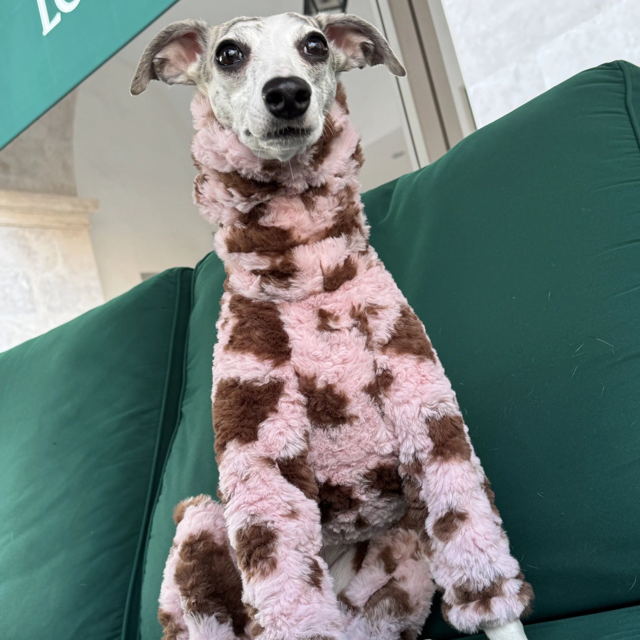 The Marshmallow Cow Jumper