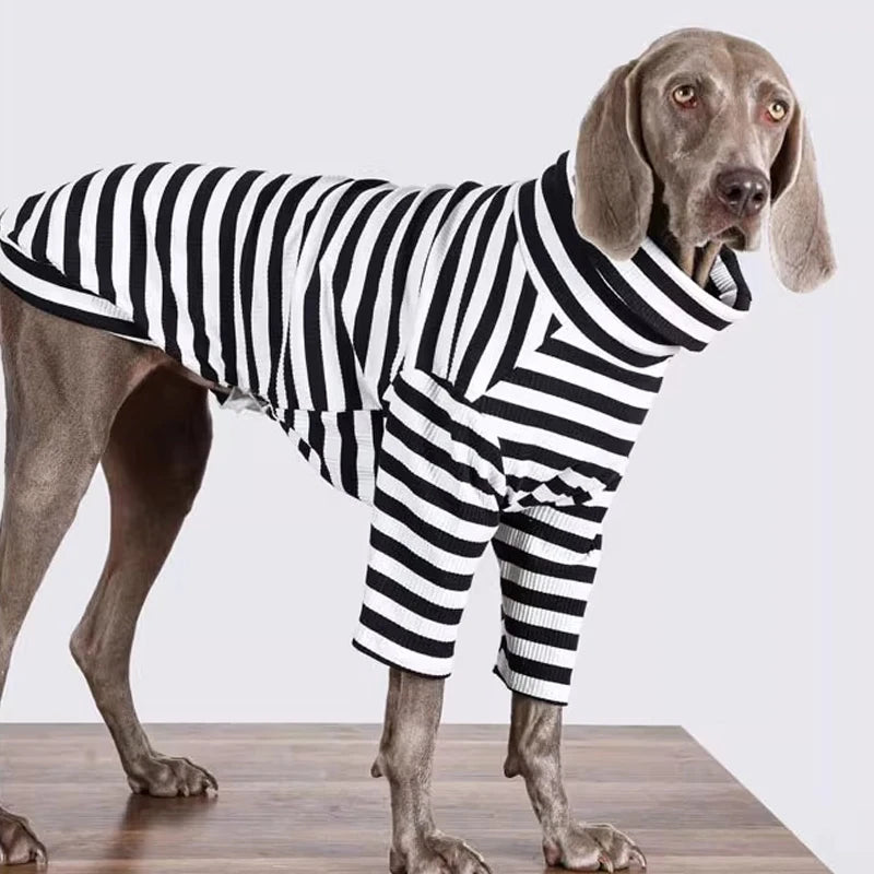 The Metro Stripe Turtleneck