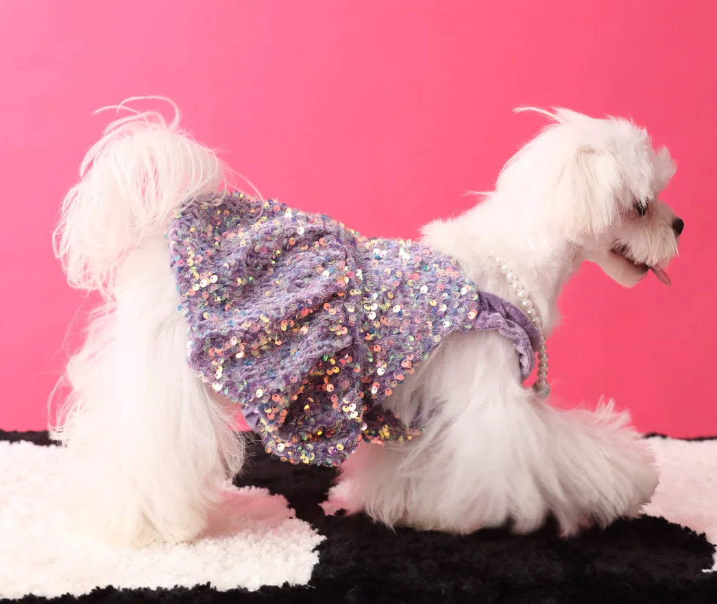 Glam Sequin Party Dress