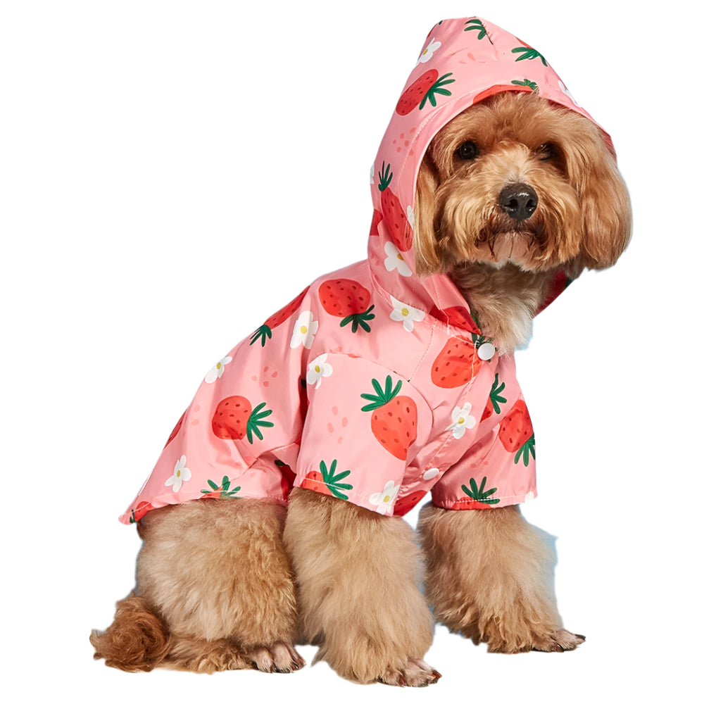 Waterproof Strawberry Raincoat