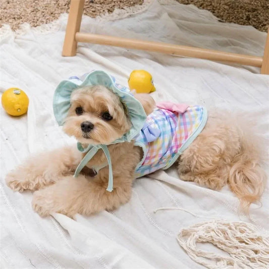 The Pastel Picnic Swimsuit