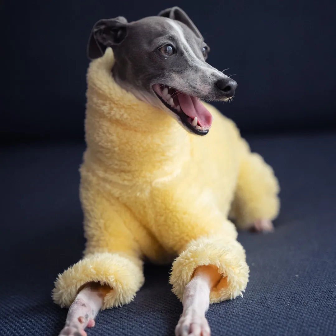 Soft High Collar Dog Full Body Coat
