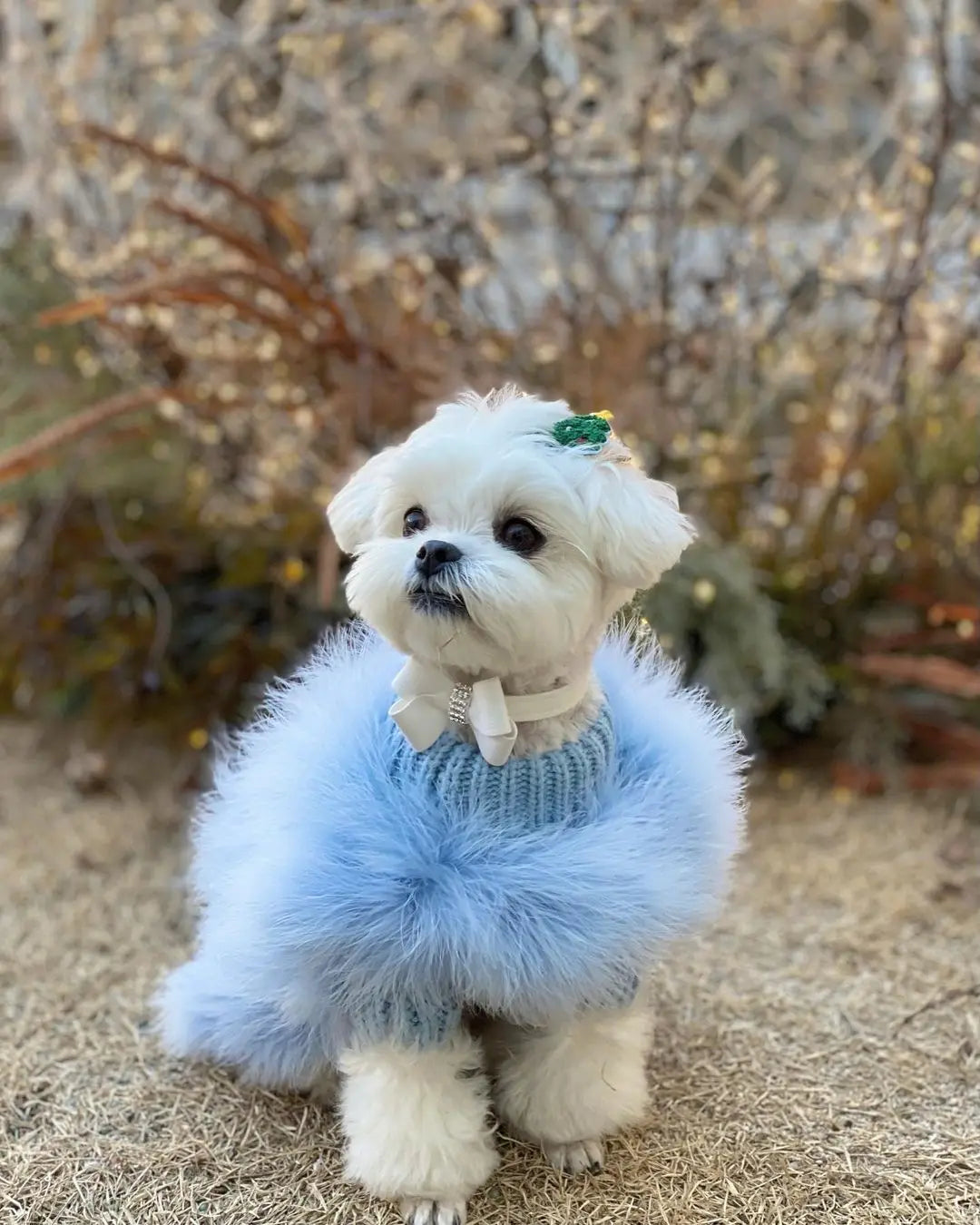 Fluffy Party Sweater