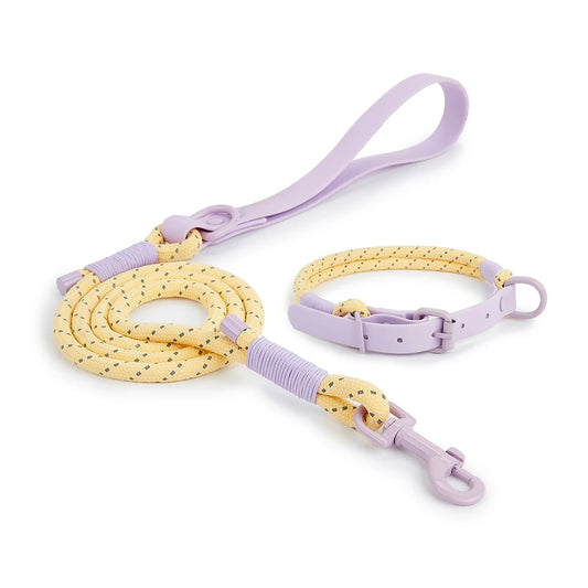 Bubblegum Trail Collar & Leash Set