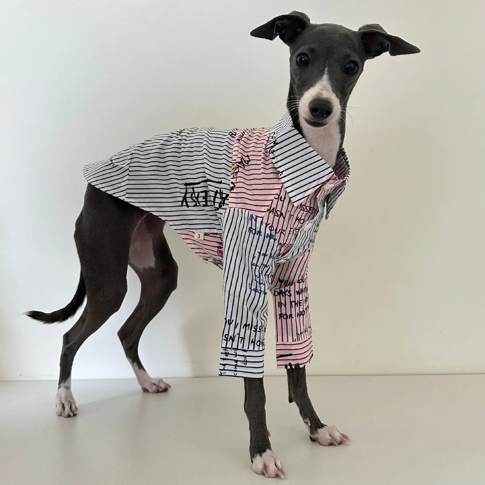 The Graffiti Stripe Button-Up