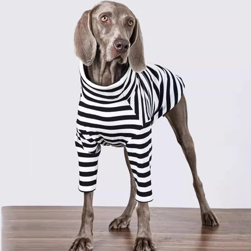 The Metro Stripe Turtleneck