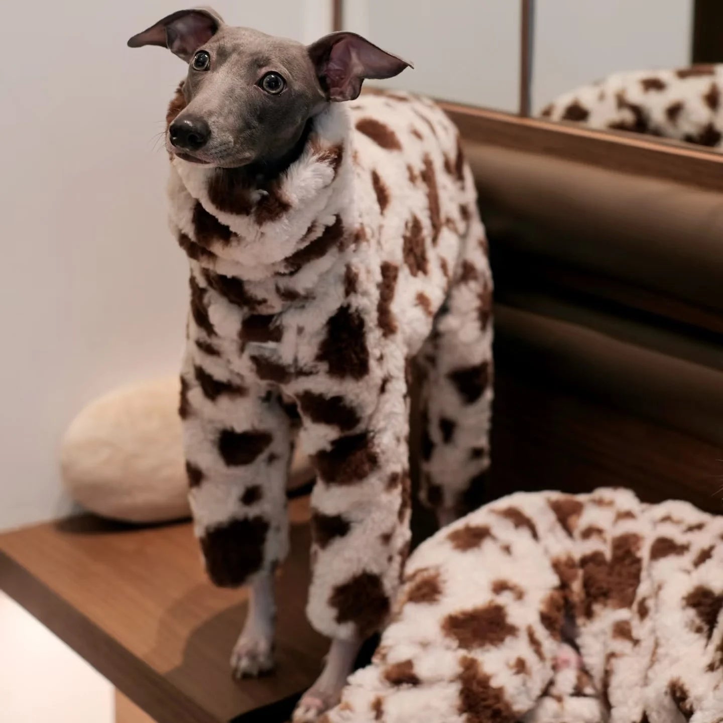 The Marshmallow Cow Jumper