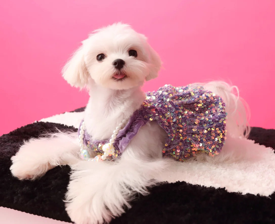 Glam Sequin Party Dress