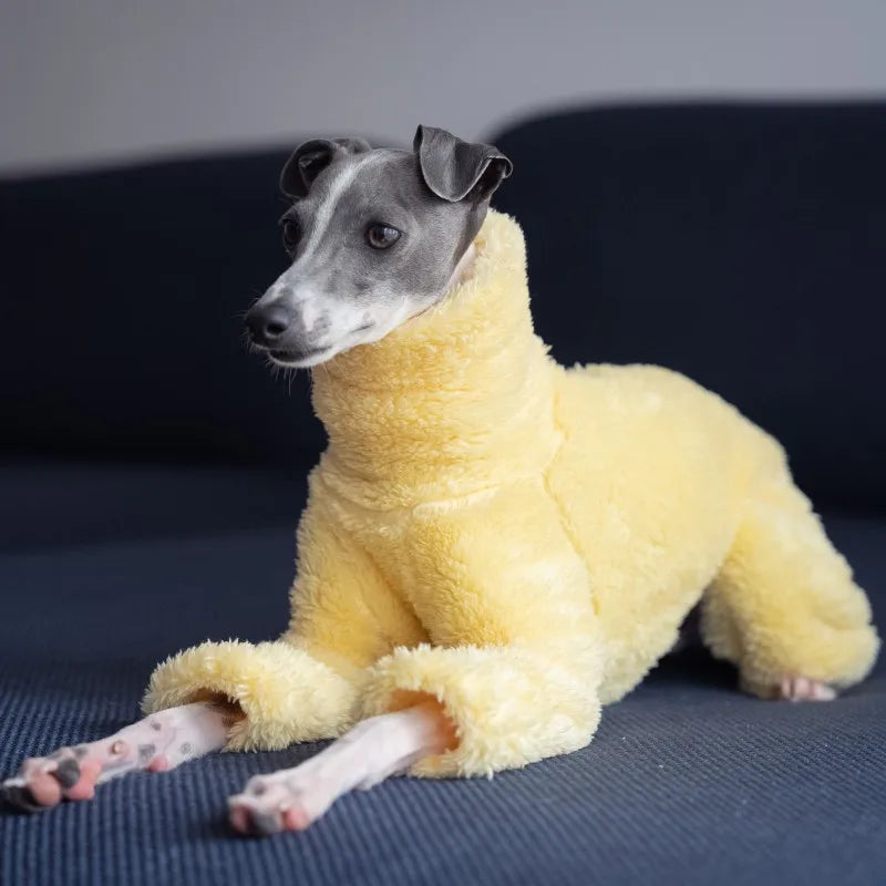 Soft High Collar Dog Full Body Coat