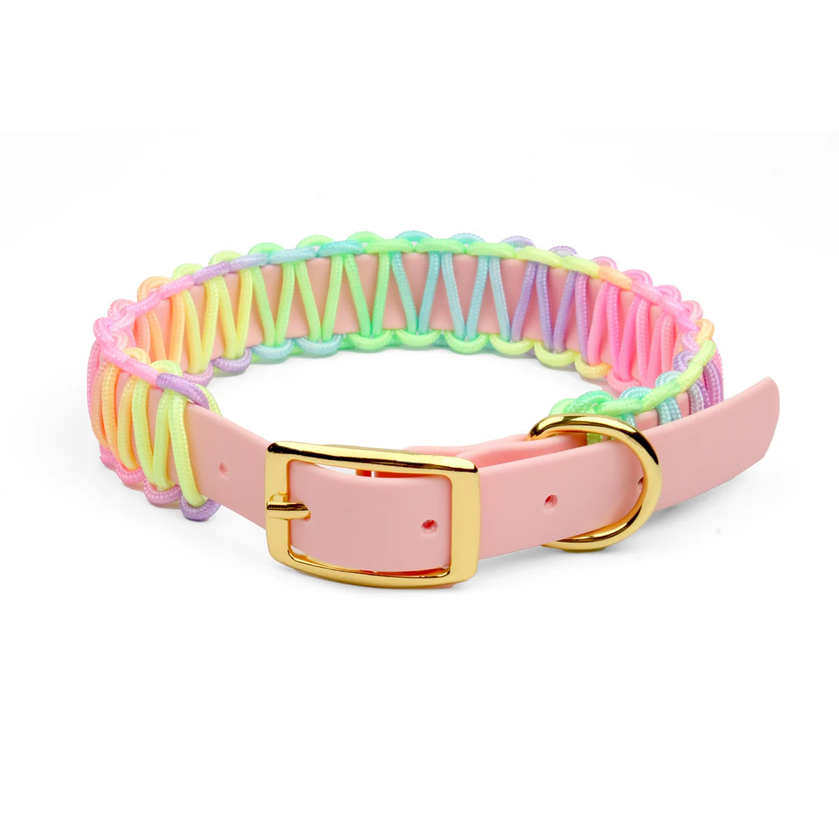 Colorful Dog Collar & Leash Set