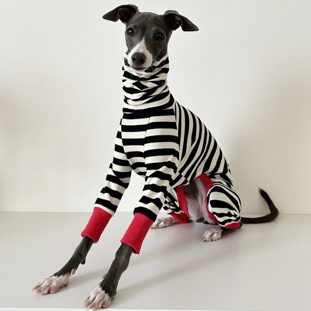 The Midnight Stripe Jumpsuit