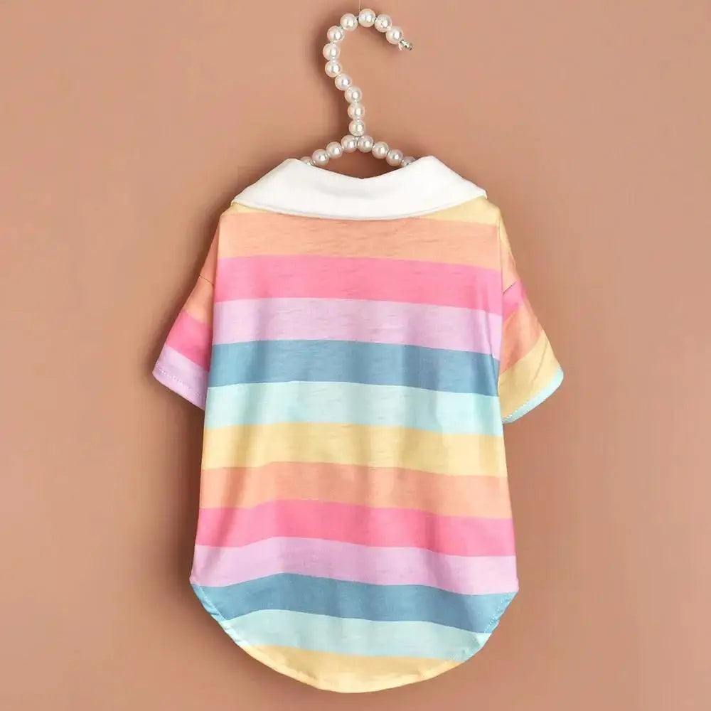 Rainbow Stripe Polo Shirt