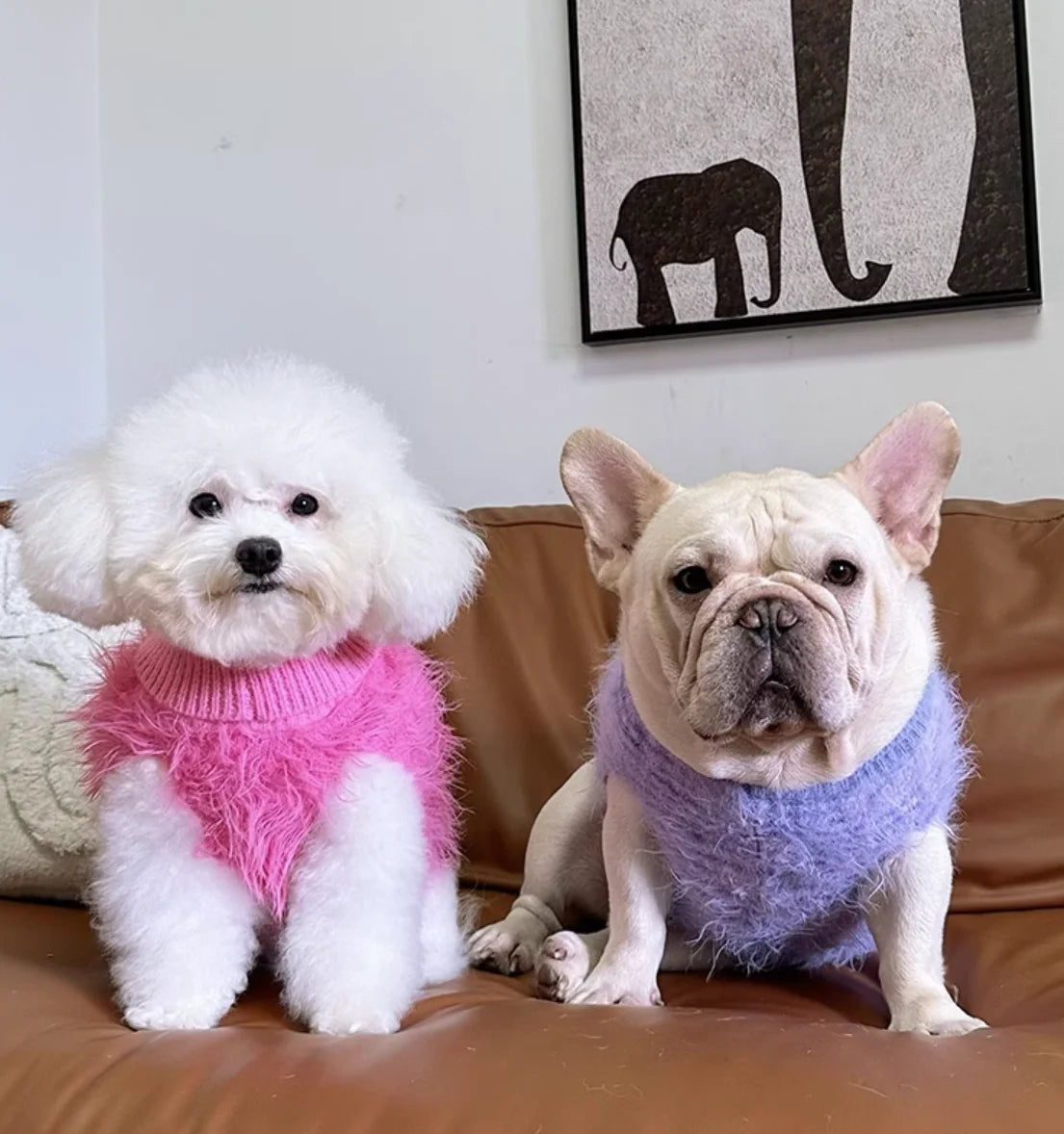 Cozy Fuzzy Turtleneck Dog Sweater