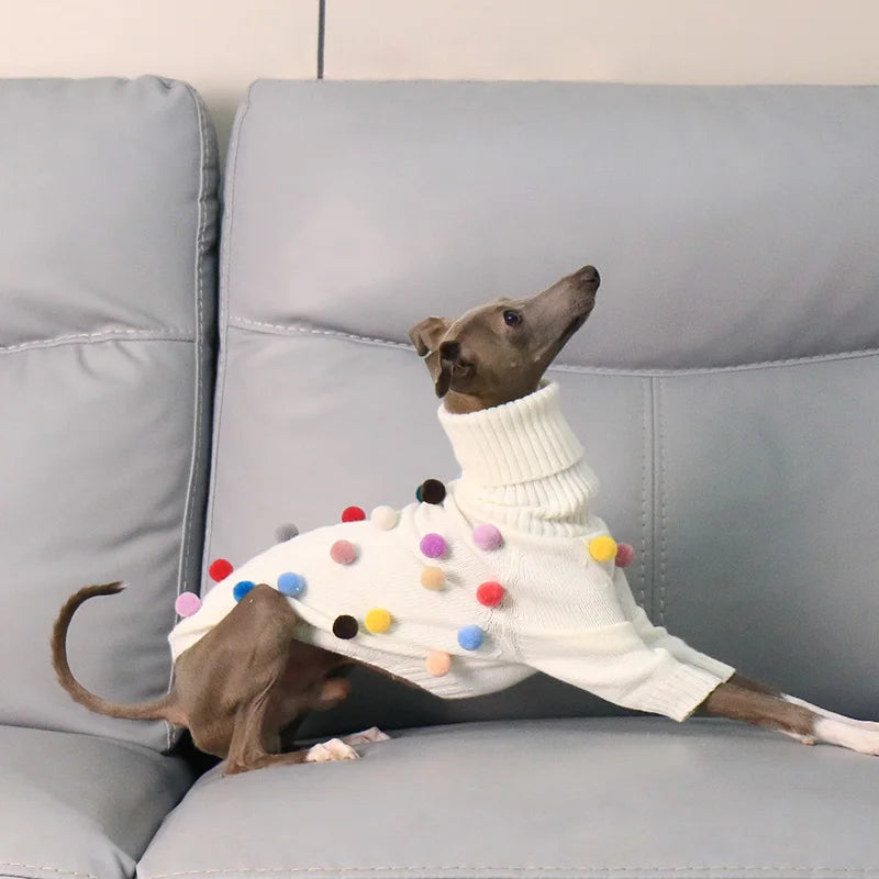 Pom Pom Parade Sweater