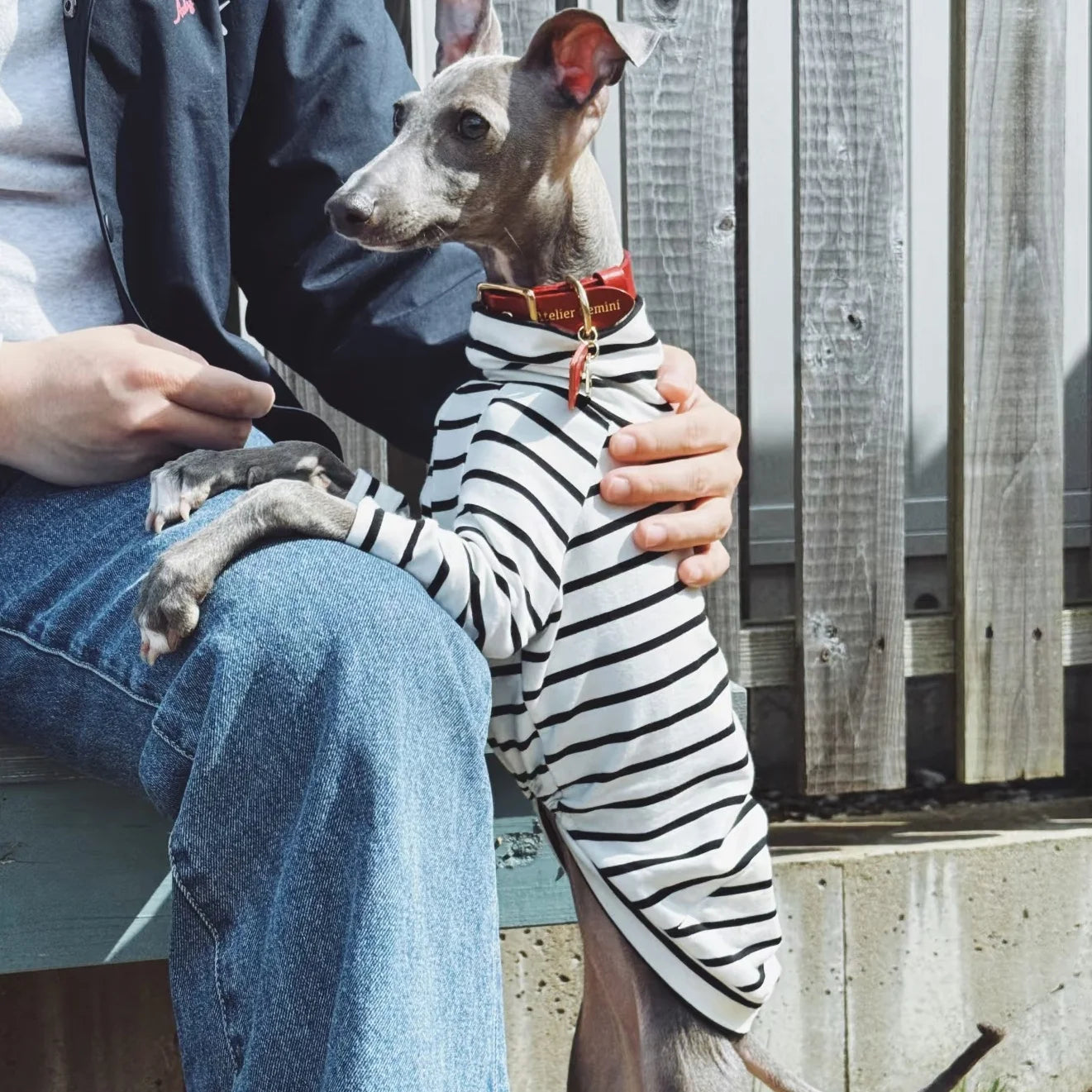 The Mono Stripe Turtleneck