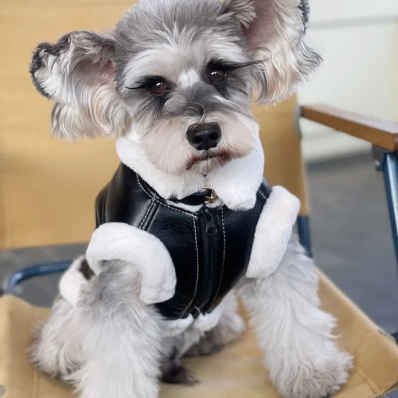 Faux Leather Dog Biker Jacket with Fur Trim