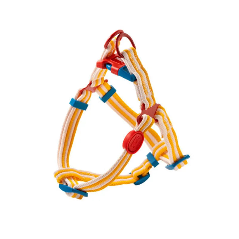 The Everyday Explorer Leash Set