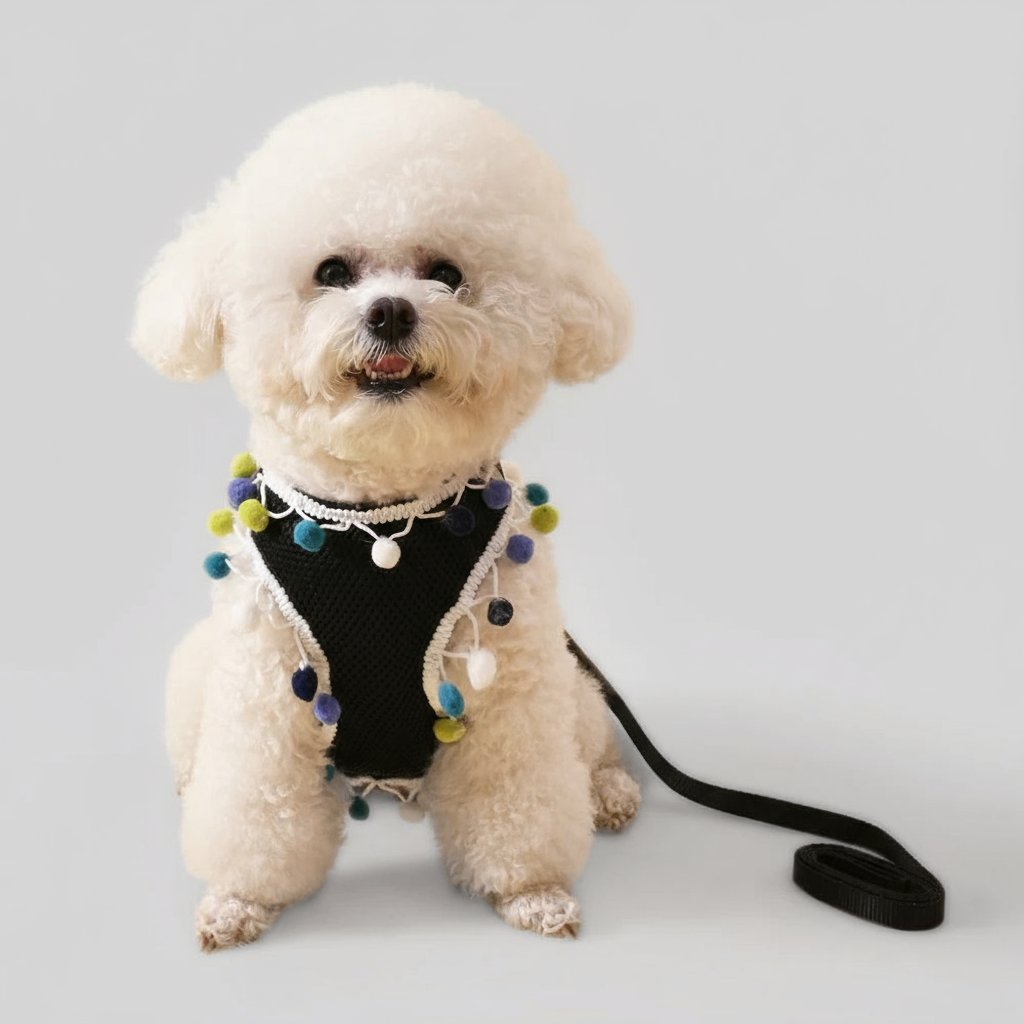 Rainbow Pom-Pom Dog Harness & Leash Set