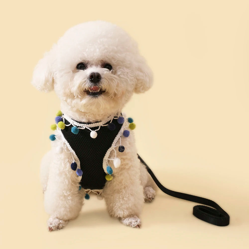 Rainbow Pom-Pom Dog Harness & Leash Set