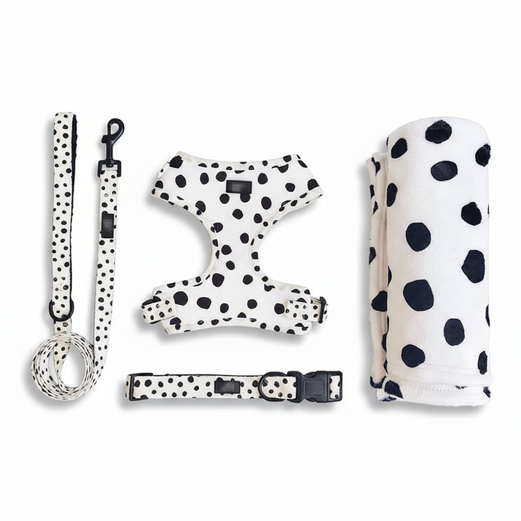 The Dotty Walk Set