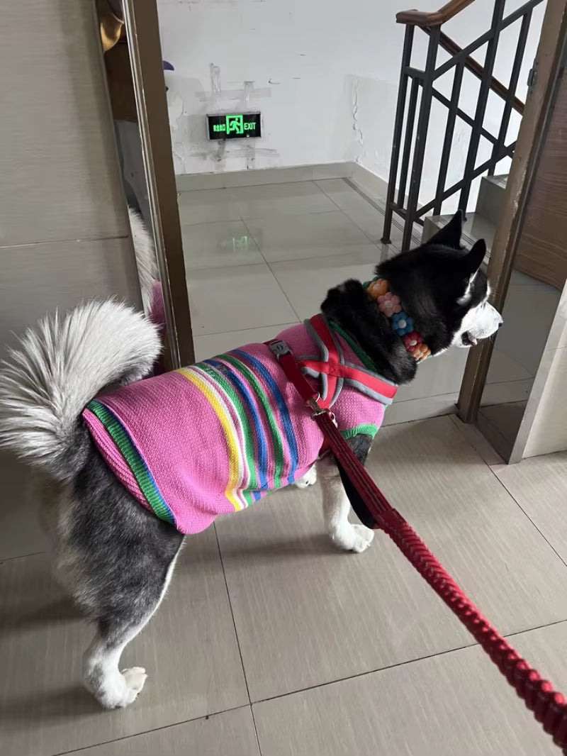 The Cozy Core Sweater