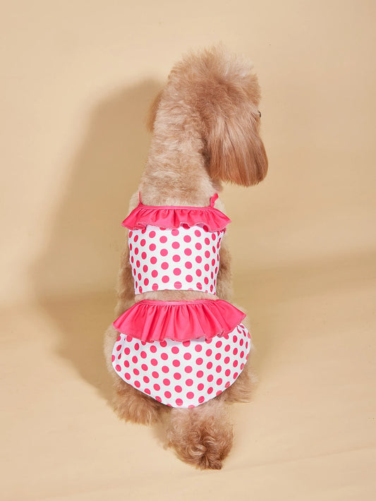 Polka Dot Two Piece Swimsuit