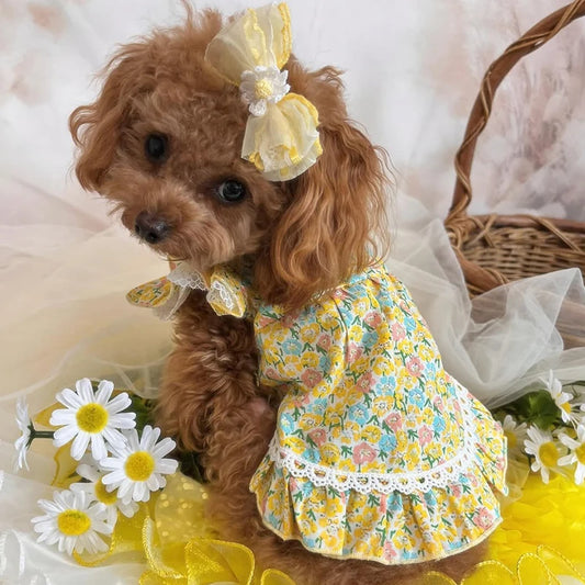Yellow Floral Printed Dress