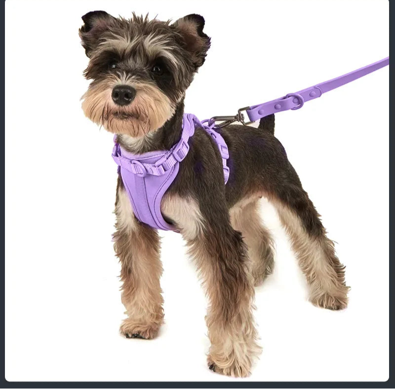 All-in-One Harness Set