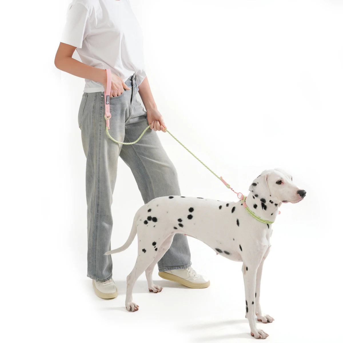 Bubblegum Trail Collar & Leash Set