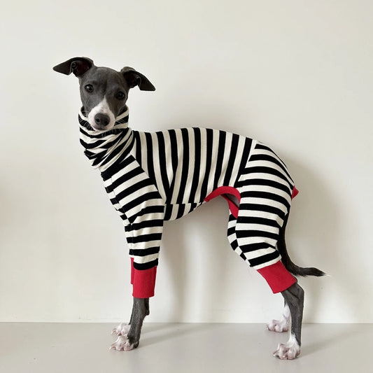 The Midnight Stripe Jumpsuit