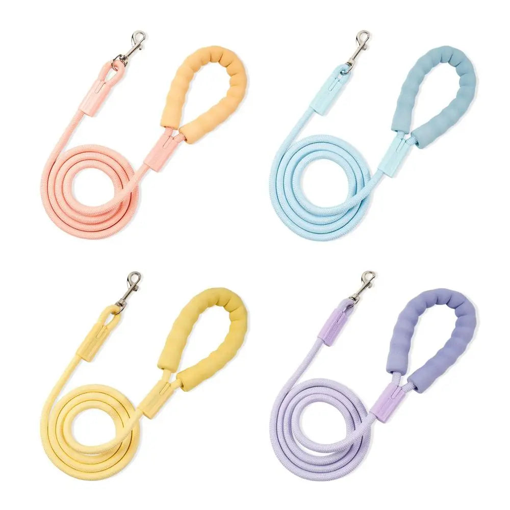 Dopamine Dog Leash