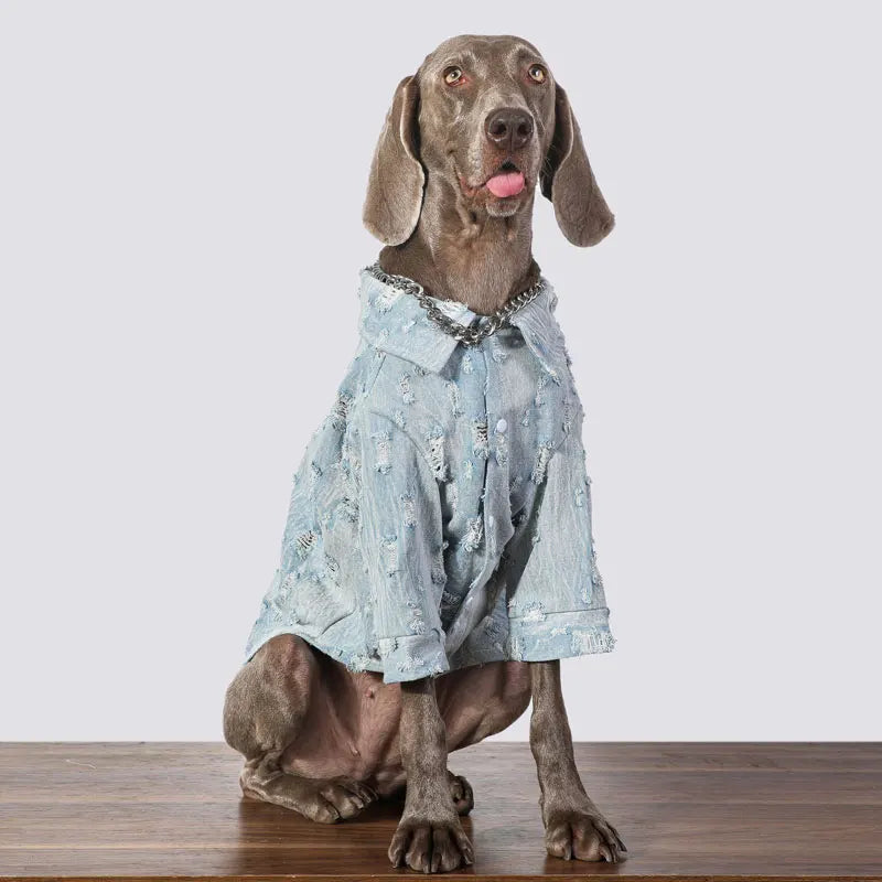 The Urban Distressed Denim Shirt