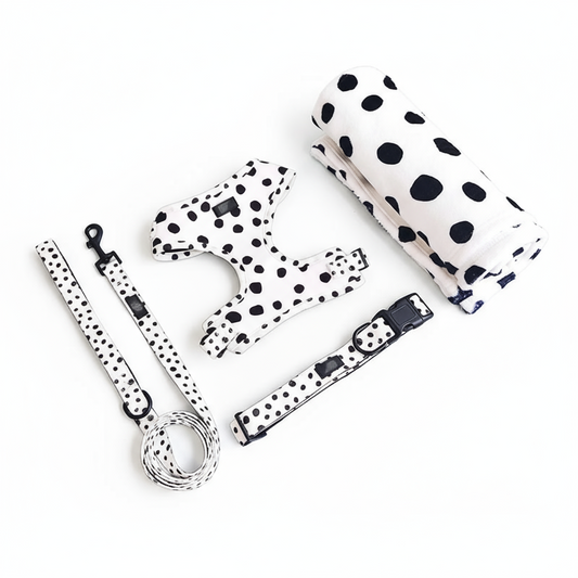 The Dotty Walk Set