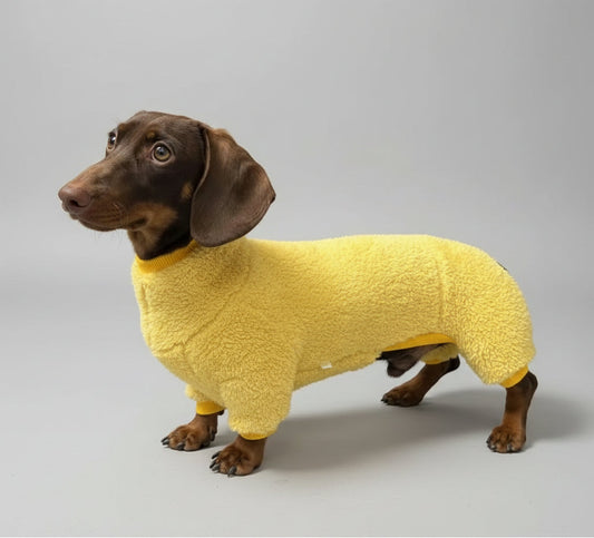 The Neon Cozy Cuddle Suit