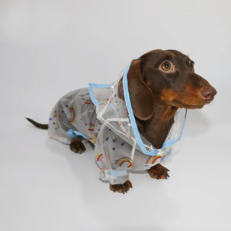 The Rainebow Waterproof Coat LB